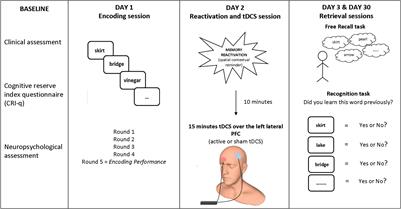 tDCS-Induced Memory Reconsolidation Effects: Analysis of Prominent Predicting Factors